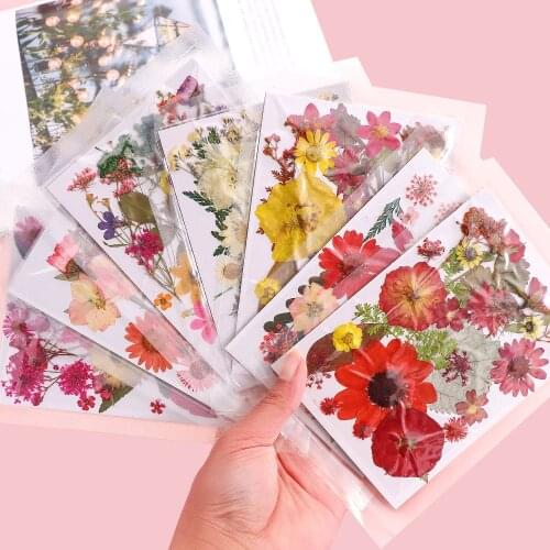 Natural Plum Blossom Dried Flower Resin Mold Jewelry Material DIY Crystal Epoxy Mold Embossing Flower Dry Epoxy Filling