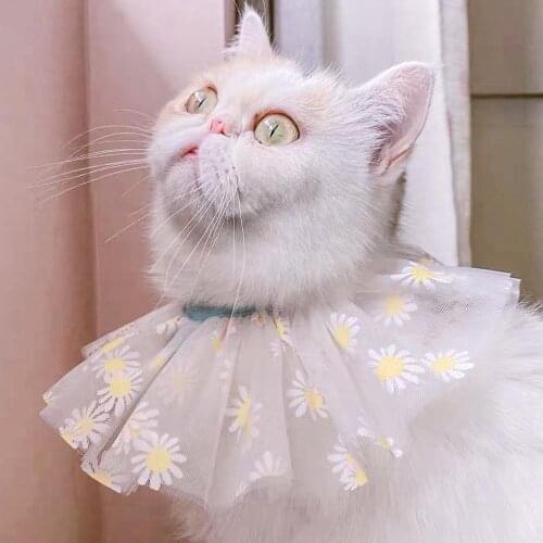 Polyester Dots Stars Flower Print Pet Dog Cat Triangular Collar Necklace Neck Strap Bib Flower Lace Super Fairy Cleaning Collar