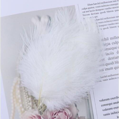 10pcs White Ostrich feathers 8-10cm Wedding Party Decoration feather Ostrich Plumes Wholesale