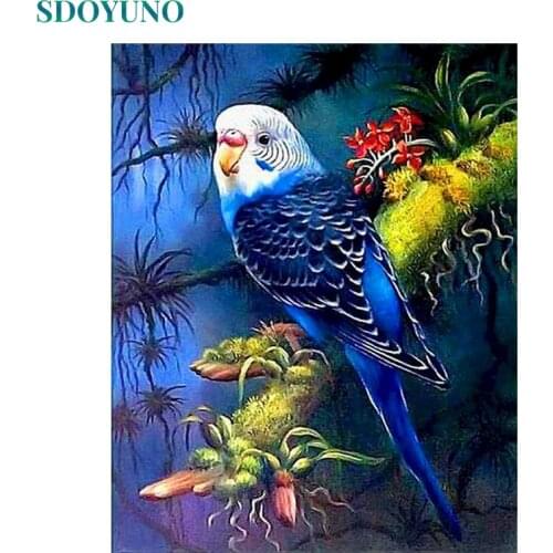 SDOYUNO 60x75cm Oil Painting By Numbers DIY Parot Drawing By Numbers On Canvas Animals Frame Digital Hand Painting Home Decor