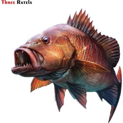 Three Ratels FTC-885# 14cmx14.5cm Savage Mangrove Jack Personality Animal Fish PVC Car Styling motorcycle Car Sticker Decal