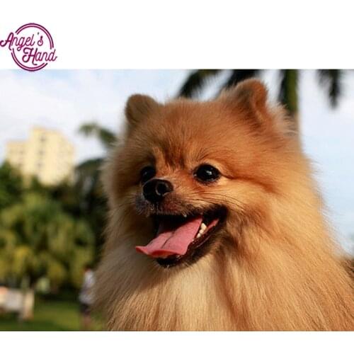 5d full diamond embroidery Pomeranian dog square diy diamond Painting diamond mosaic Needlework diamond picture home decor art