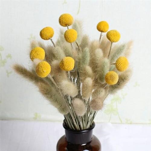 1 Bunch Natural Dried Flower Gold Balls Pampas Rabbit Tail Grass Bouquet Yellow Flowers For Room Party Artificial Decorations