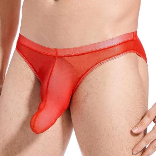 Men Nylon Briefs Underwear Elephant Nose Sexy See-Through Panties Underpants Mesh Big Penis Pouch Design Man Bikini