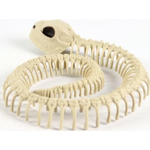 Skeleton Skull Skeleton Bones for Horror Halloween Decoration Pary Bar Haunted House Snake