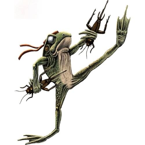 Personality Legendary Ninja Frog Camper Car Sticker Vinyl Decal Waterproof Graffiti Windshield Decoration Apply To Car Window