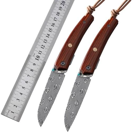 PF719DM Petrified fish wooden handle folding knives110 Layer Damascus steel Blade outdoor camping Hiking edc tools pocket knife