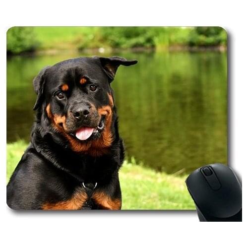 Dogs Galore Mouse Pad,Rottweiler Purebred Dog Animal Dog Peaceful Pet,dogs mouse mat