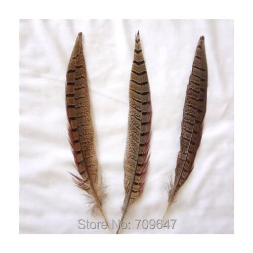Plume decoration! 100pcs/lot!8-10"(20-25cm)Perfect Ringneck Pheasant Tail Feathers for Costumes or jewelry accessories,plumes
