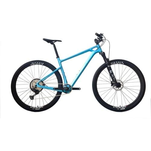 Cycling Equipment Moutain Bike 29*15"17"19" M8100 1*12 Speeds