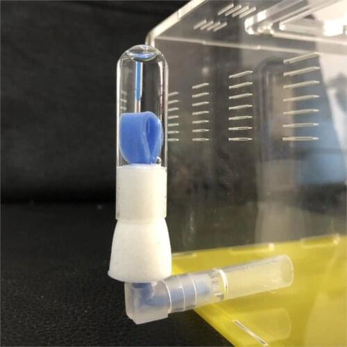 Ant Nest Water Feeding Tower Ant Workshop DIY Accessories Connector Glass Tube And Sponge For One Set Ant House DIY Parts
