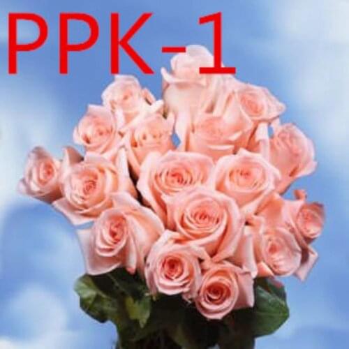 Weddings and important occasions / Wedding accessories / Bridal bouquets PPK