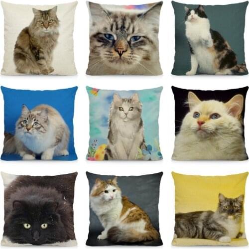 XUNYU Cute RagaMuffin Cat Cushion Cover Animal Print Throw Pillow Case 45x45cm DWM011