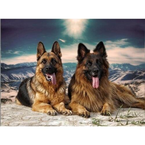 Diy 5D Diamond Painting Dog Diamond Embroidery Animal Cross Stitch Full Round Drill Mosaic Rhinestone Home Decor Handmade Gift