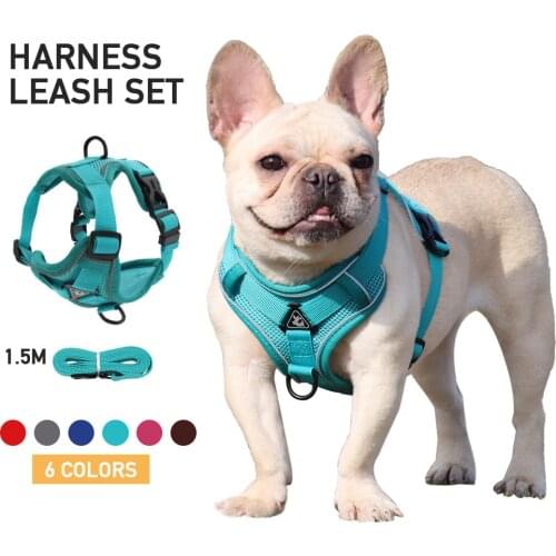 Summer Dog Harness and Leash Set Reflective Adjustable Harness Cats Breathable Mesh French Bulldog Small Dogs Walking Accessory