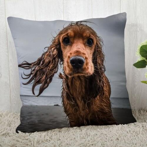 Spaniel Animals Pillow Cover Customize Pillowcase Modern Home Decorative Pillow Case For Living Room 45X45cm,40X40cm A2020.4.29