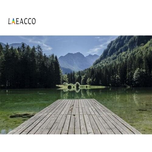 Laeacco Natural Mountain Tree Lake Wooden Bridge Green Scenic Photography Backdrops Photo Backgrounds For Photo Studio