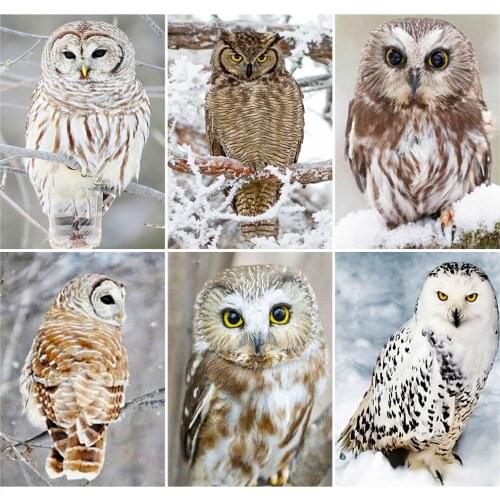 Evershine 5D Diamond Embroidery Owl DIY Animal Diamond Painting Kit Picture Of Rhinestones Handicrafts Gift Home Decoration