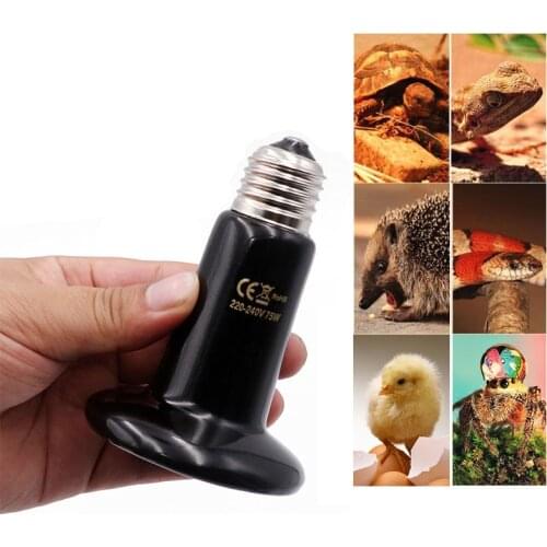 Pet Heating Lamp Ceramic 220V Far Infrared Pet Heating Lamp Light Bulb Pet Brooder Chickens Reptile Lamp 25W 50W 75W 100W