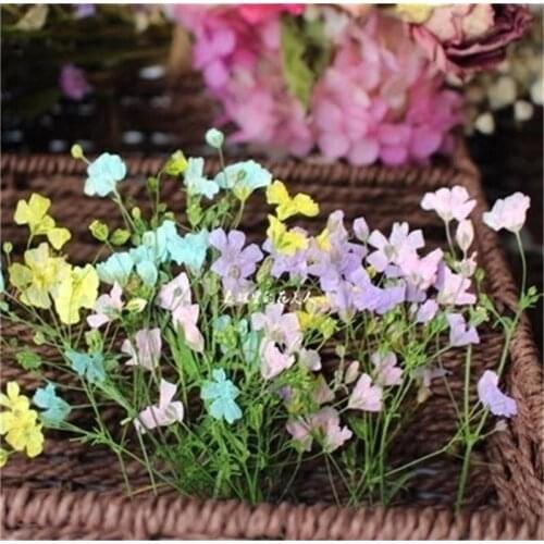 Gypsophila Dried Flower Flower Embossing Material Frame DIY Dried Flower Specimen