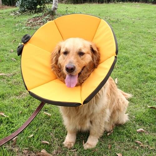 Cat Elizabethan Collar Adjustable Foldable Waterproof Pet Dog Neck Cone Recovery Collar Anti-Bite Surgery Wound Healing E-Collar