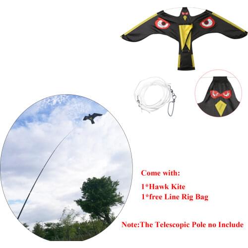 Leezujun Kites