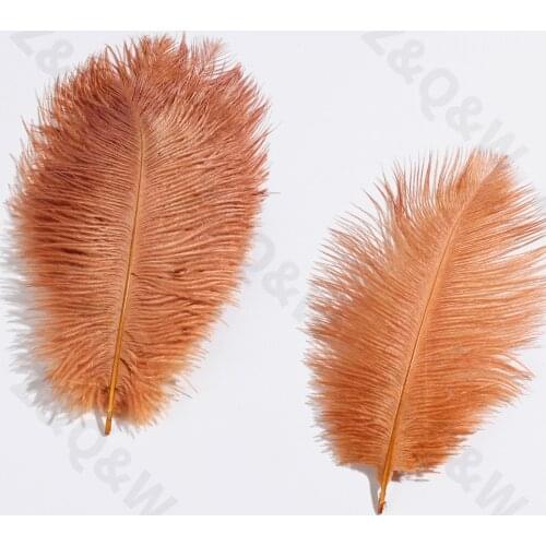 Natural 15-20CM (6-8 inches) Ostrich Feather Dyed Brick Red 10-100PCS Costume Ornament Decoration DIY Craft Holiday Party