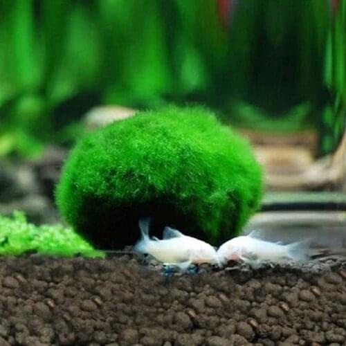 2021 New Artificial Moss Ball Fish Tank Aquarium Decor Ornament 2.5-4.5cm Natural Plants