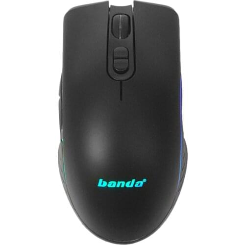 Banda Re10 Computer Mouse, 6 Buttons 4 Files 1600Dpi Ergonomic Wireless Mouse for Pc and Laptop