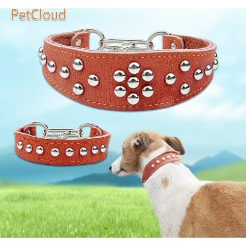 Personalized Dog Collar Leather For Labrador Big Dogs Spike Puppy Pit Bull Pet Dog P Chain For Pet Leash Supplis PetCloud