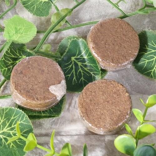 2021 New Coconut Fiber Coir Pellet Nutrient Soil Lightweight Plant Compressed Base Garden