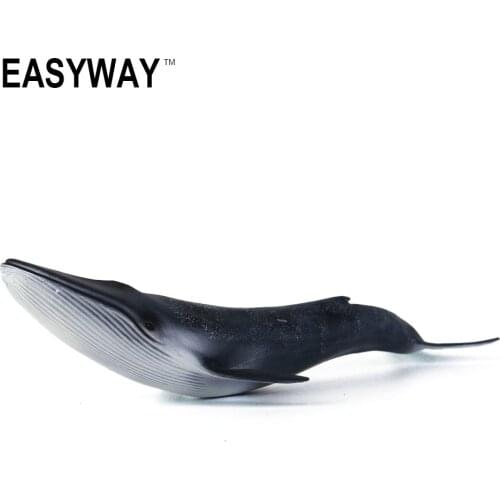 Mr.Froger Pygmy Blue Whale Toy Simulation Static Sibbalds Rorqual Sea Life Classic Toys For Children Animal Model Collection