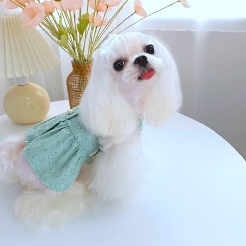 XXS XS Puppy Dress Yorkshire Chihuahua Pomeranian Costumes Shih Tzu Maltese Poodle Girl Dog Clothes Luxury Cute Kitten Clothing