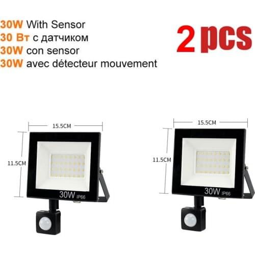 2 pcs 220V 10-100W LED FloodLight Spotlight Exterior Street wall reflector Wireless PIR Motion Sensor Path Garden light lamp Wat