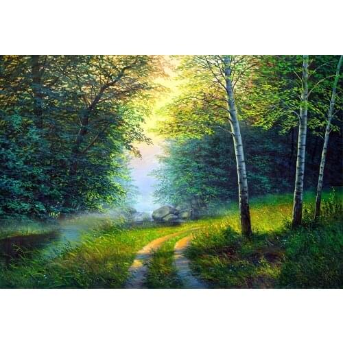 VinylBDS 5x7ft Background Fairy Backdrop Photography Backdrops Children Kids Scenic Spring Forest Backdrops for Photo Studio