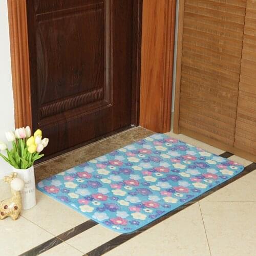 Carpet Floor Mat Doormat Doormat Doormat Doormat Bathroom Kitchen Toilet Water Absorption Antiskid Mat Household