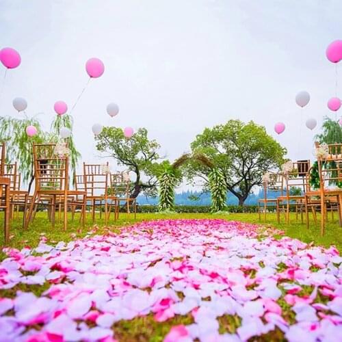 500/1000/3000ps Artificial Silk Rose Petals Wedding Party Romantic Night Event Decoration Simulation Rose Flower Petal 5*5CM 50