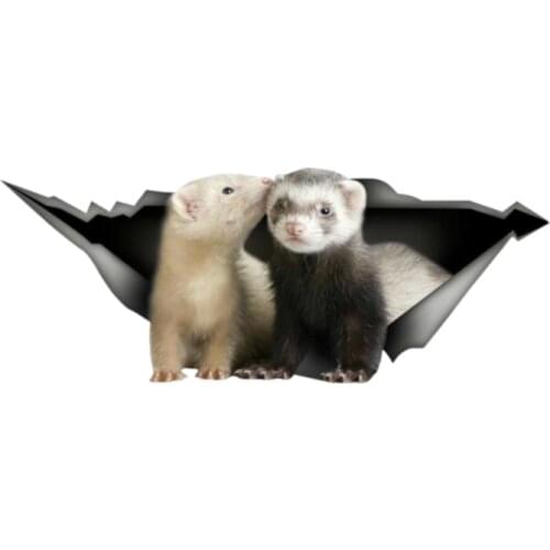 PLAY COOL Custom Ferret Sticker Laptop 3D Pet Graphic Vinyl Decal Car Window Laptop Bumper Animal Car Stickers,13cm*6cm