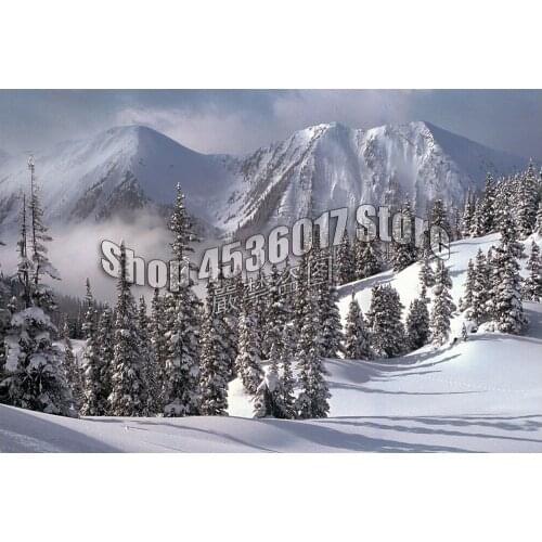 Snowy Winter 5D Diamond Mosaic Full Home Decor Diamond Embroidery Crafts DIY Diamond Painting Cross Stitch landscape Needlework