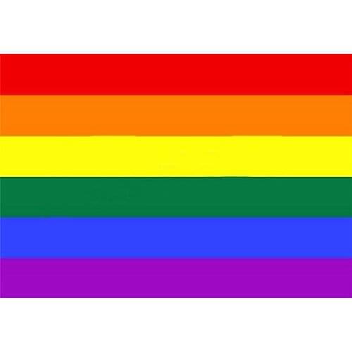 60 X 90 Cm Rainbow Flag Polyester Printing Flag Garden Flag Home Decoration LGBT Gay Rainbow Progress Pride Flag Accessories