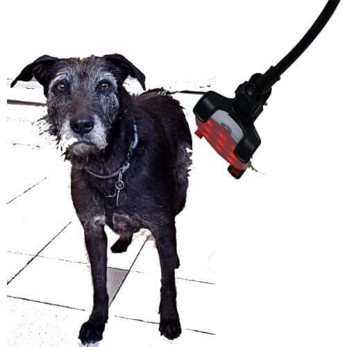 COZING 2021 New Product Cold Laser Physiotherapy Back Pain Equipment Knee Arthritis Treatment Device For Animal