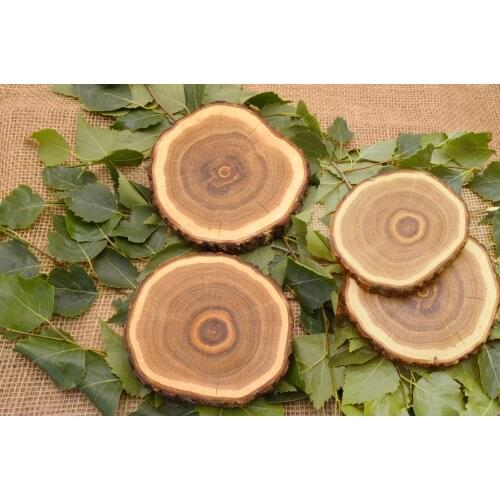 Дикорус-дерево Home And Garden Products