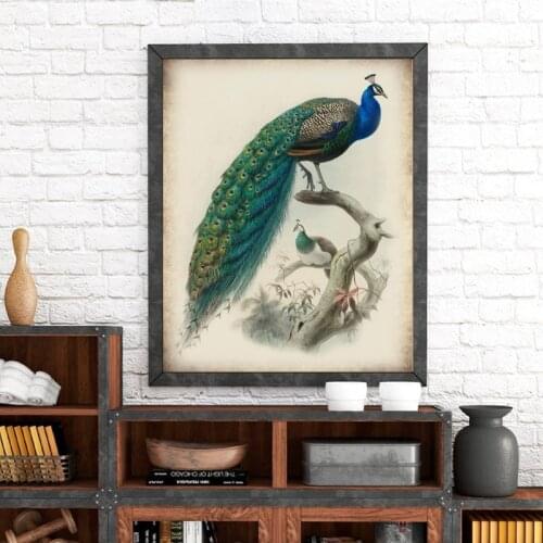 Beautiful Peacocks Bird Illustration Print Vintage Poster Bird Peacocks Picture Retro Wall Art Canvas Painting Living Room Decor
