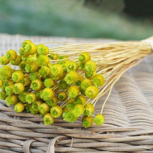 50pcs/lot Home Decor Dried Flower Bouquet Natural Dried Flowers Wedding Party Decorative Photography Props