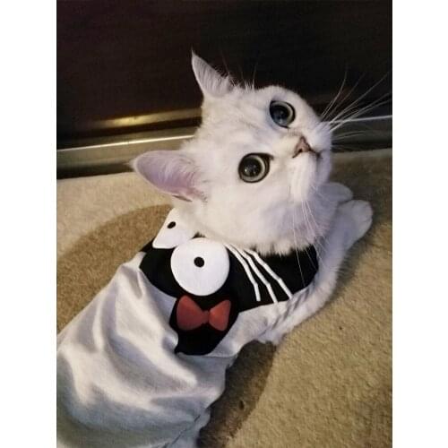 Kitten clothing supplies pet thin cat cat kitten blue cat puppet cat orange cat autumn and winter cute sleeveless vest