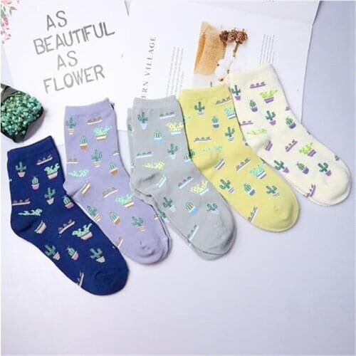 2021 New Women Cotton Plain Jacquard Cactus Fresh And Simple Wild Ladies Trend Harajuku Comfortable Socks Four seasons Dropship
