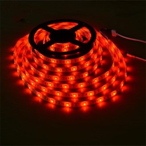12v 24v flexible rgbw 4 in one smd5050 rgbww led strip Free Shipping Cost