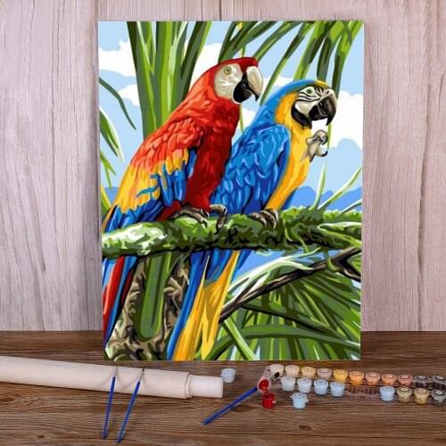 Animal Bird Parrot Paint By Numbers Package Oil Paints 40*50 Picture By Numbers Photo New Design For Handiwork