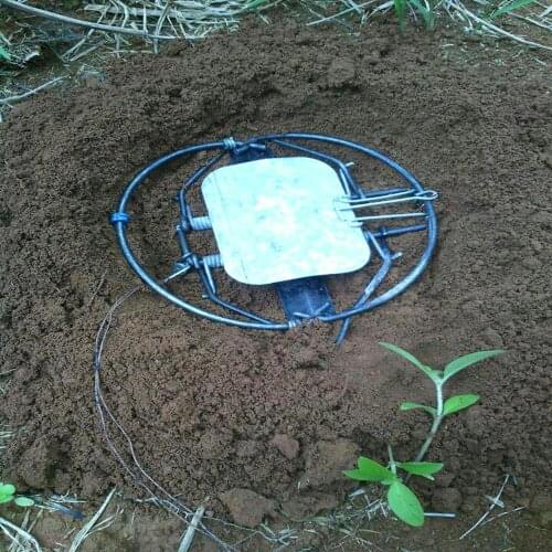 Leg Hold mole trap field mouse rat mice trap Rodents Animal Trap Animal trap Mole Trap Strong and Recyclable