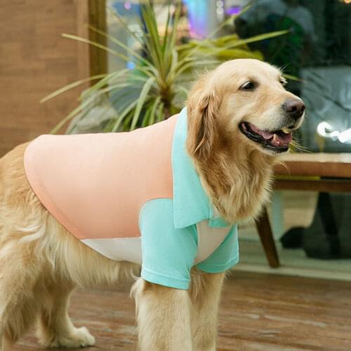 Dog Clothes Spring and Summer Breathable Thin Big Dog POLO Shirt Medium and Large Dog Two-legged T-shirt Dog Shirts for Dogs